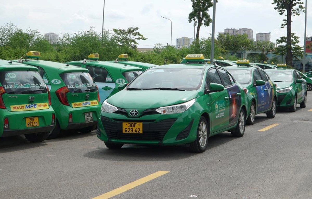 Cách chọn xe taxi ở Đà Lạt an toàn, chất lượng, giá rẻ 6