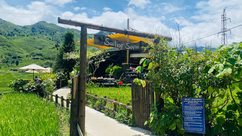 Review top 9 quán cafe cánh đồng Sapa ôm trọn view lúa 5