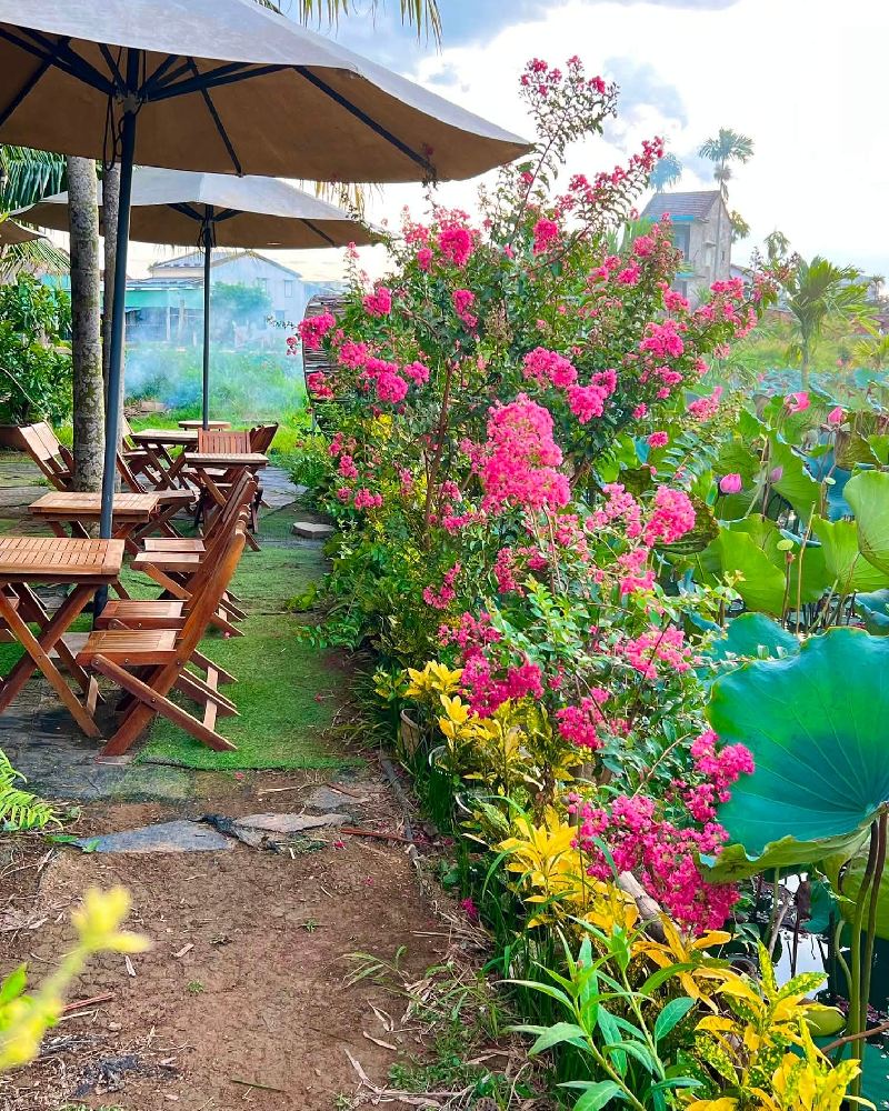 Top 10 quán cafe cánh đồng Hội An đẹp và đáng ghé 5