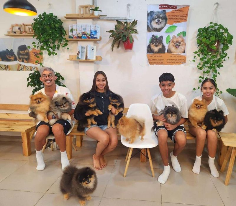 Top 8 quán cafe chó Hà Nội siêu đáng yêu phải ghé 8