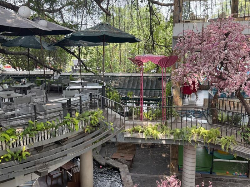 10 quán cafe hoa ở Sài Gòn có không gian lãng mạn, nhiều cây xanh 10