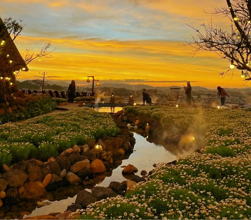 Cafe Lời Của Gió Đà Lạt: Tọa độ chữa lành với view hoàng hôn Xóm Lèo cực phẩm 4
