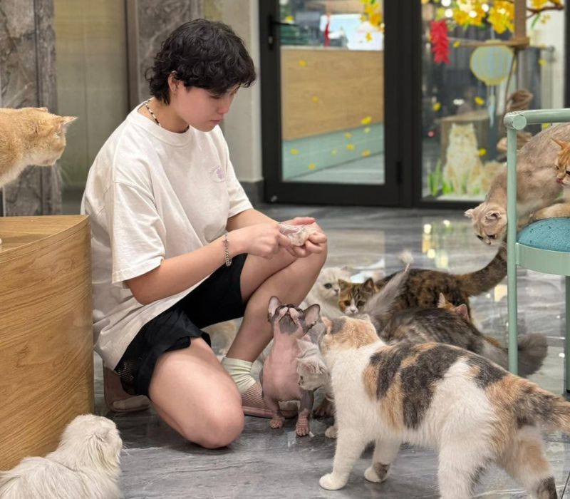 Top quán cafe mèo Sài Gòn cực hot chữa lành tâm hồn các ‘sen’ 3