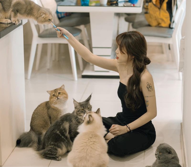 Top quán cafe mèo Sài Gòn cực hot chữa lành tâm hồn các ‘sen’ 8