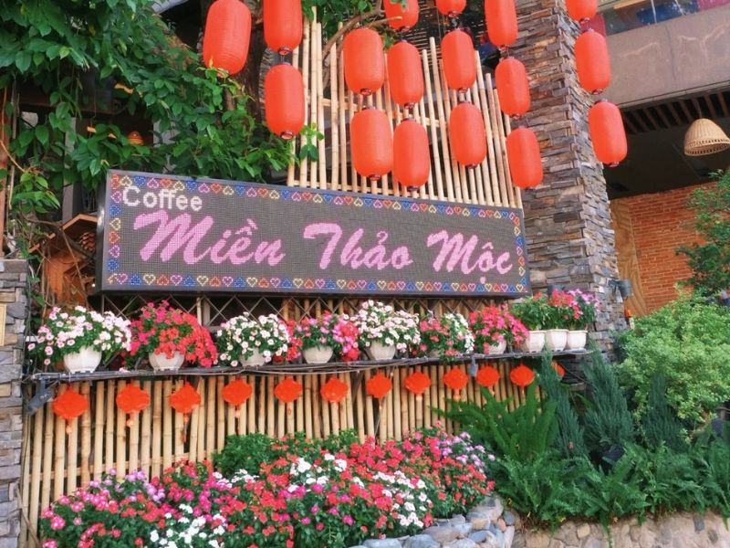 Khám phá Cafe Miền Thảo Mộc với hồ cá Koi và nhạc acoustic 3