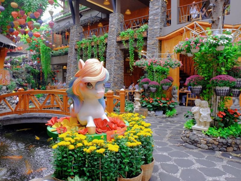 Khám phá Cafe Miền Thảo Mộc với hồ cá Koi và nhạc acoustic 4