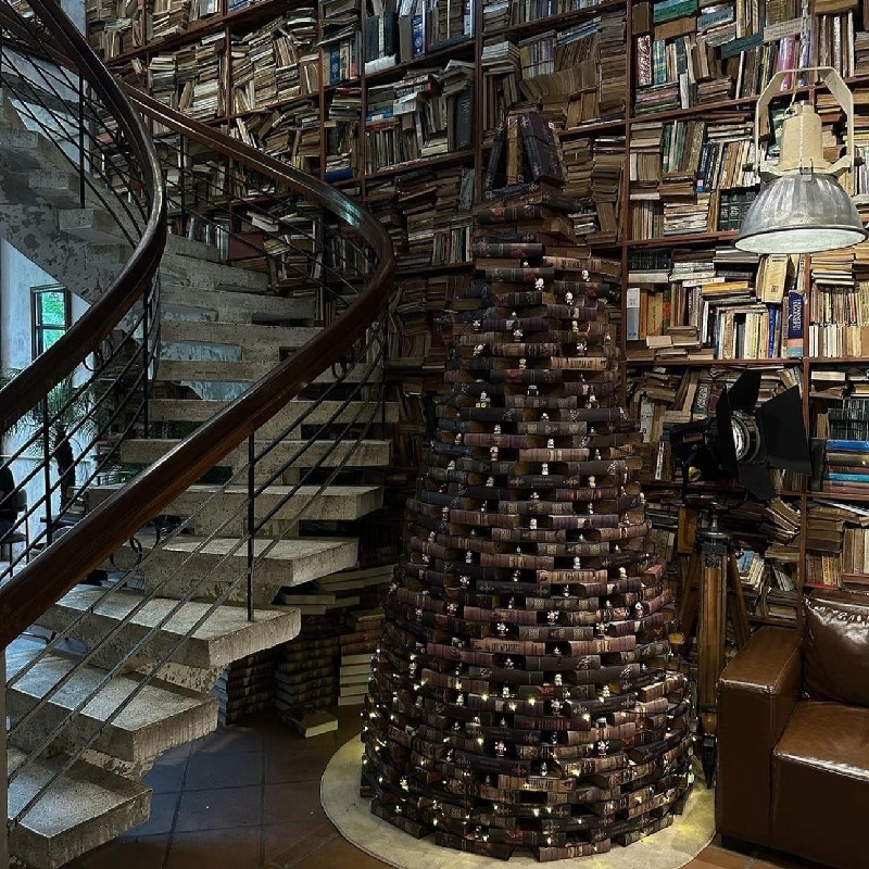 Top 15+ quán cafe sân vườn đẹp, thoáng mát ở TP.HCM 8