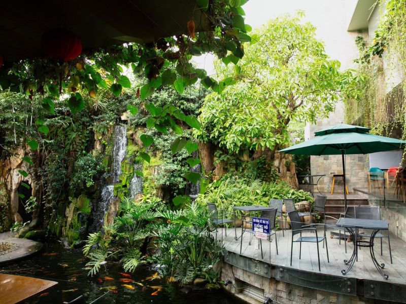 Ghé Cafe Sân Vườn Aroma ngắm cá Koi và tận hưởng không gian xanh 3