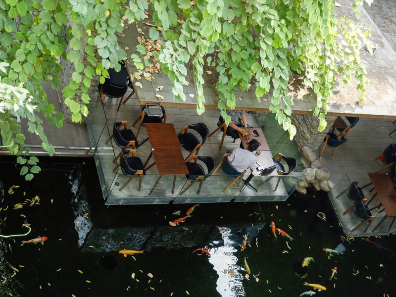 Ghé Cafe Sân Vườn Aroma ngắm cá Koi và tận hưởng không gian xanh 6