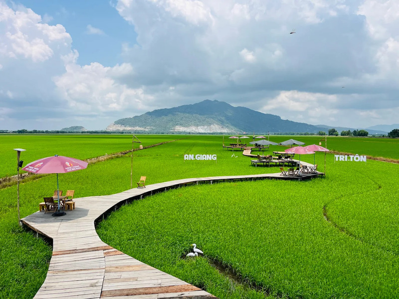 6 quán cafe ở Tri Tôn, An Giang với view chill giữa đồng xanh 14