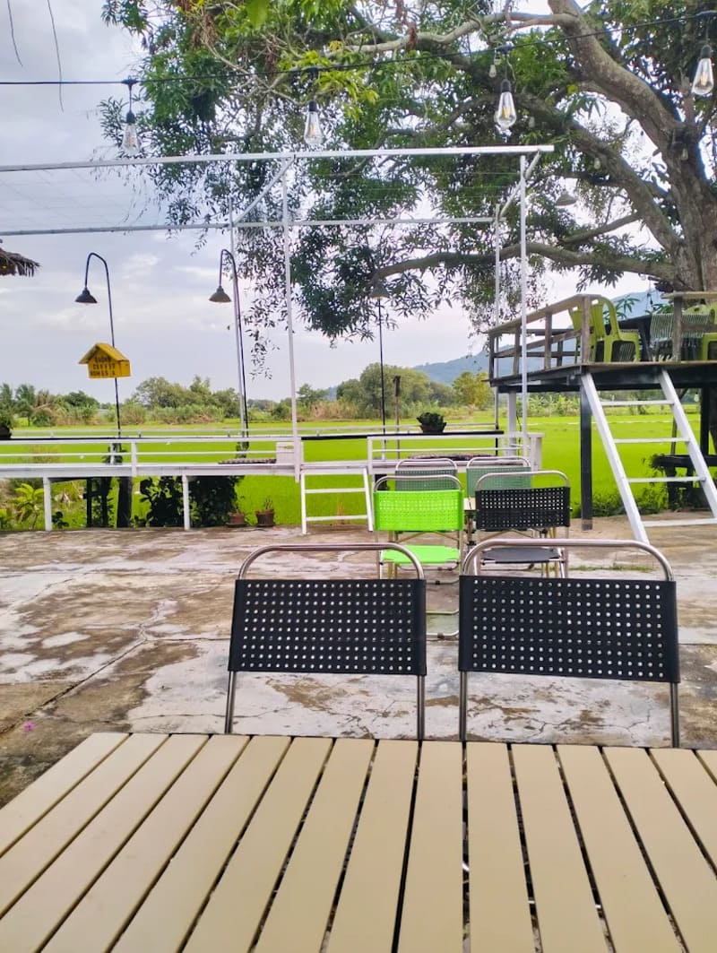 6 quán cafe ở Tri Tôn, An Giang với view chill giữa đồng xanh 3