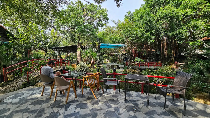 6 quán cafe ở Tri Tôn, An Giang với view chill giữa đồng xanh 25