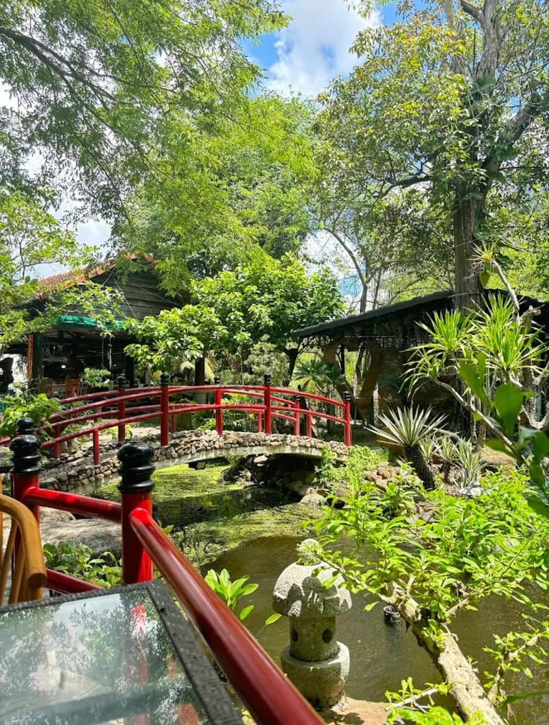 6 quán cafe ở Tri Tôn, An Giang với view chill giữa đồng xanh 26