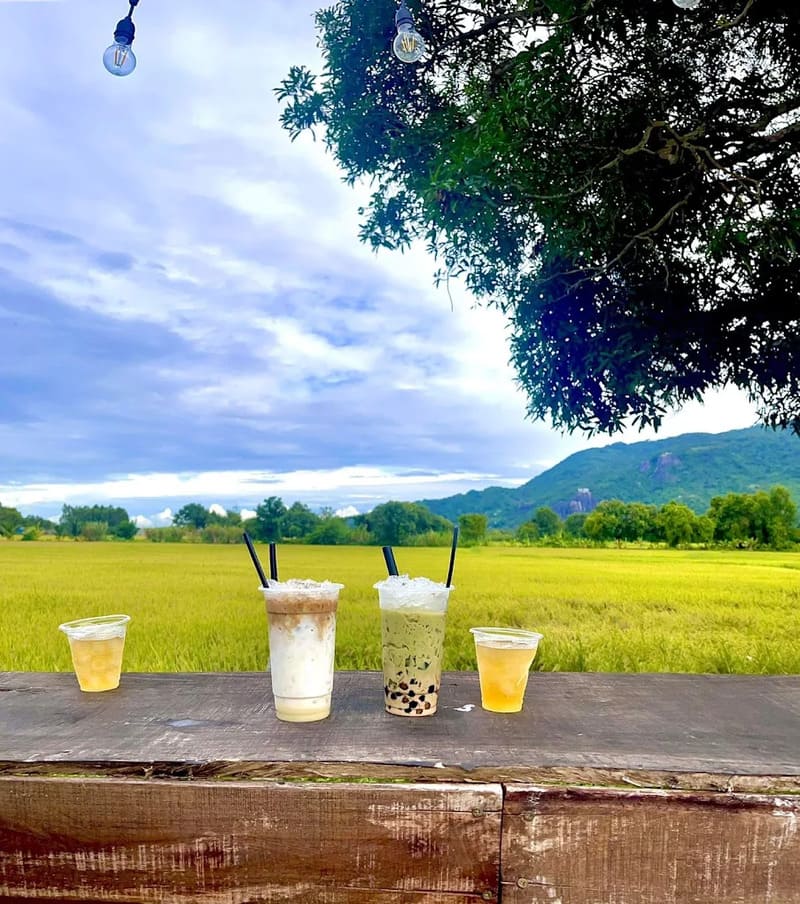 6 quán cafe ở Tri Tôn, An Giang với view chill giữa đồng xanh 4