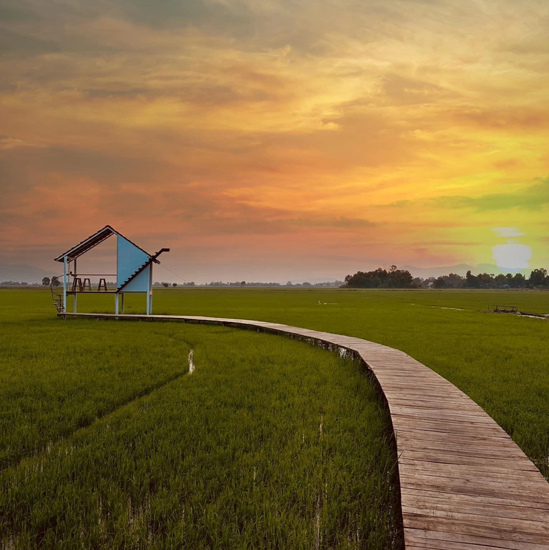 6 quán cafe ở Tri Tôn, An Giang với view chill giữa đồng xanh 9