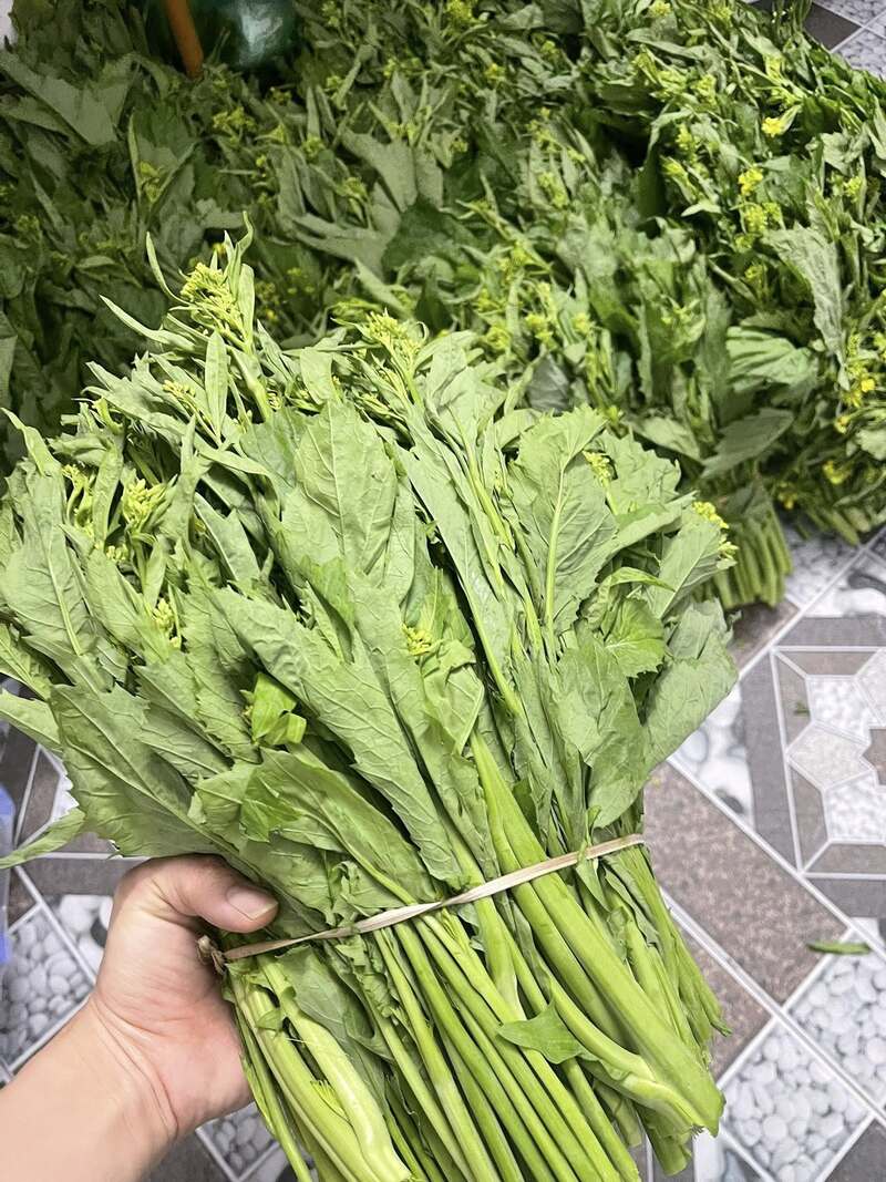 Làm sao quên được lúc thớ lưỡi cay nồng với món rau cải cay Hà Giang 5