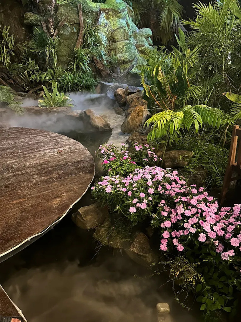Cái Tổ Chim, cafe Sài Gòn view như ốc đảo giữa vườn địa đàng 2