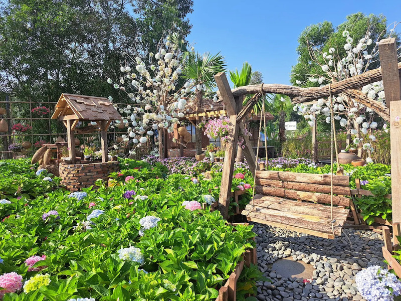 Cái Tổ Chim, cafe Sài Gòn view như ốc đảo giữa vườn địa đàng 11