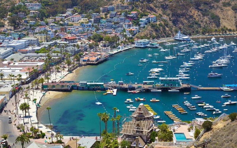 Bỏ túi kinh nghiệm du lịch tiểu bang California chi tiết 11