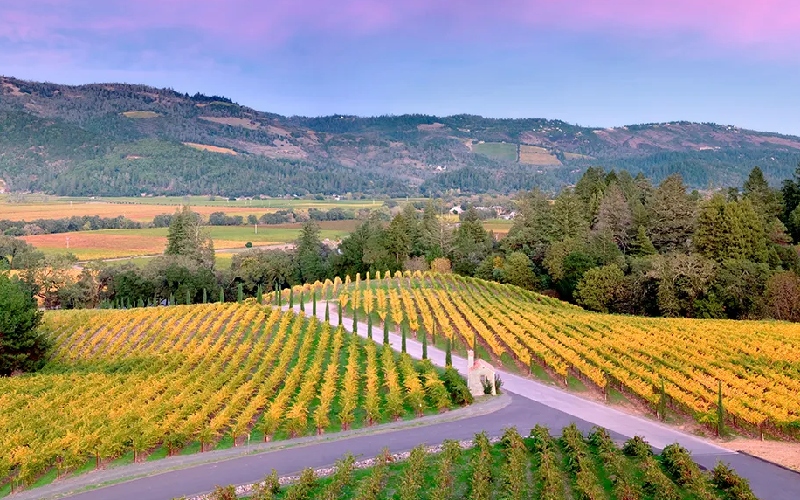 Bỏ túi kinh nghiệm du lịch tiểu bang California chi tiết 16