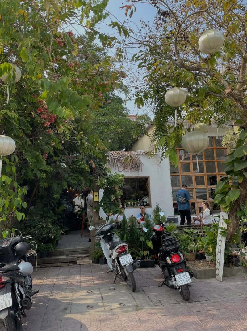 Cam Coffee n More Hội An, góc sân vườn ấm áp để “trốn” giữa phố cổ 3