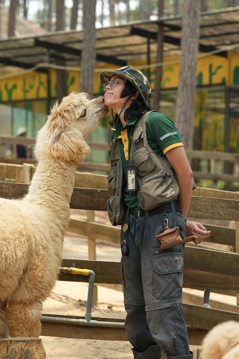 Vườn thú Zoodoo Đà Lạt: Cẩm nang tham quan mới nhất 2026 8