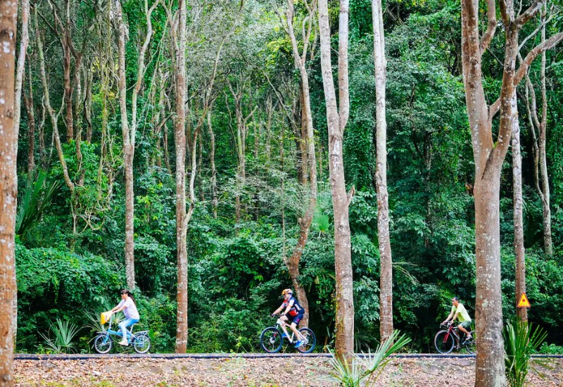 Suối Rao Ecolodge: Nơi tìm lại sự an yên, thư giãn nhất 4