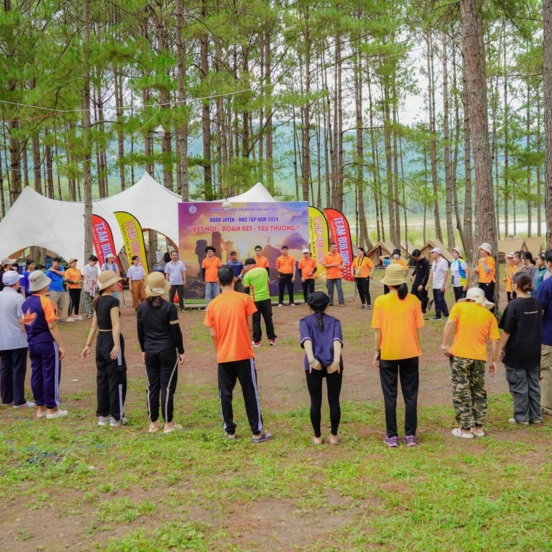 Review nhanh 6 địa điểm cắm trại Đà Lạt nên thơ 2