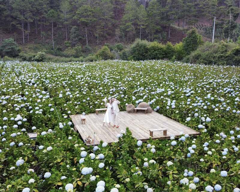 Review nhanh 6 địa điểm cắm trại Đà Lạt nên thơ 3