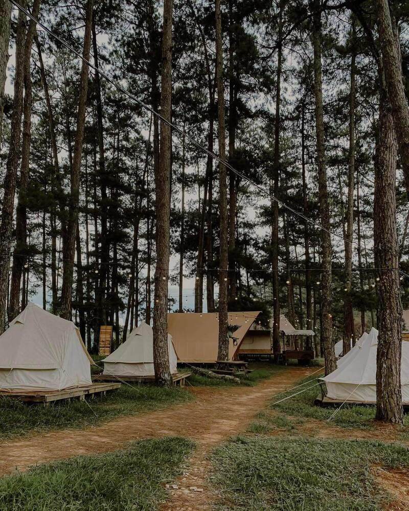 Review nhanh 6 địa điểm cắm trại Đà Lạt nên thơ 4