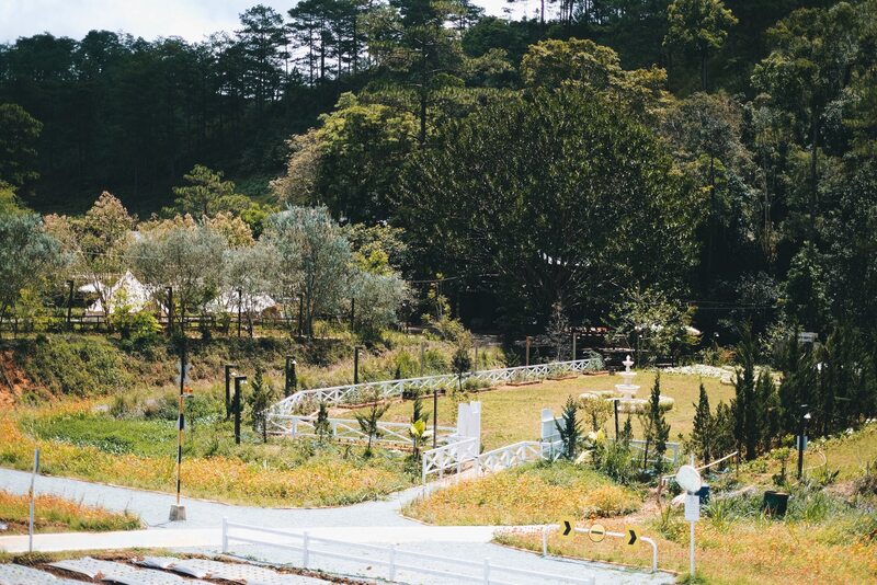 Review nhanh 6 địa điểm cắm trại Đà Lạt nên thơ 6