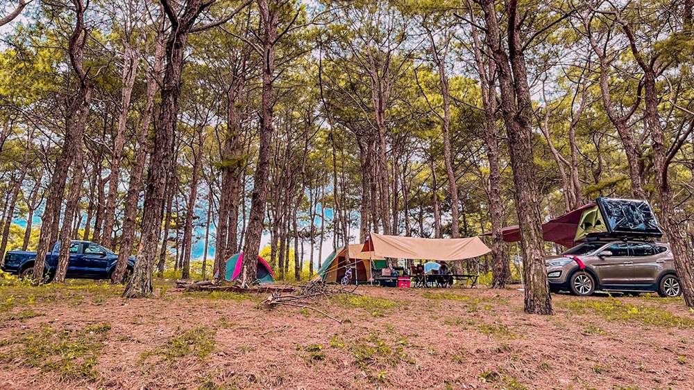Camping ở đồi thông Diên Phú, hoạt động phải thử 1 lần khi đến Gia Lai 2