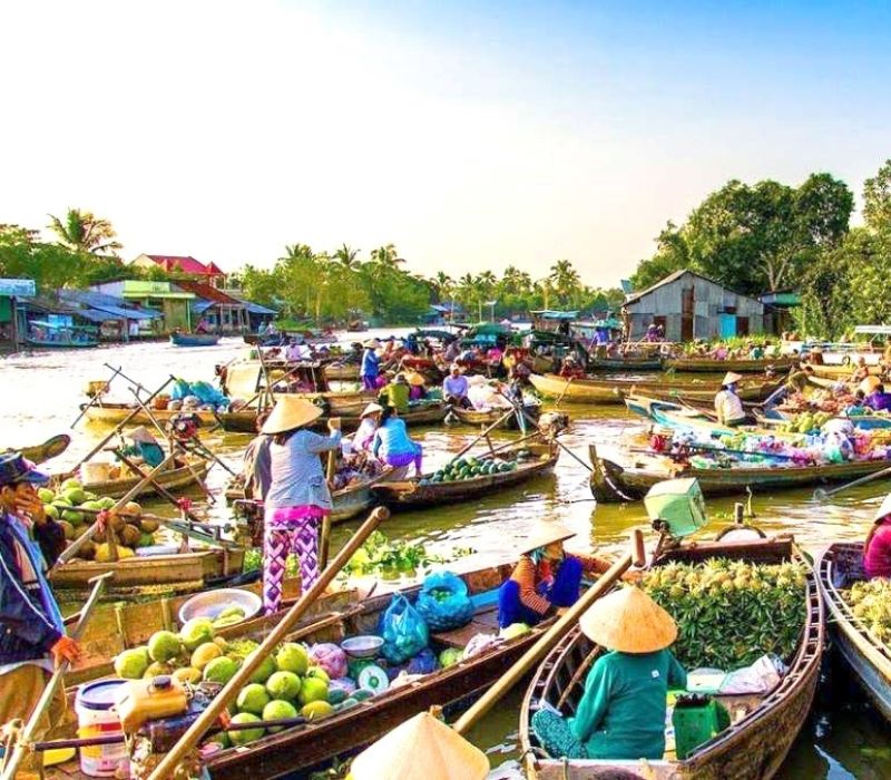 Cần Thơ có gì chơi? Top 8 điểm đến hấp fẫn nhất xứ Tây Đô