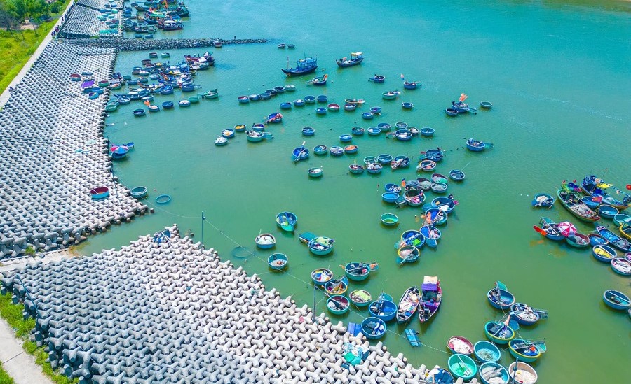 Cảng cá Lộc An, bức tranh nhịp sống đầy tất bậc giữa phố biển Vũng Tàu