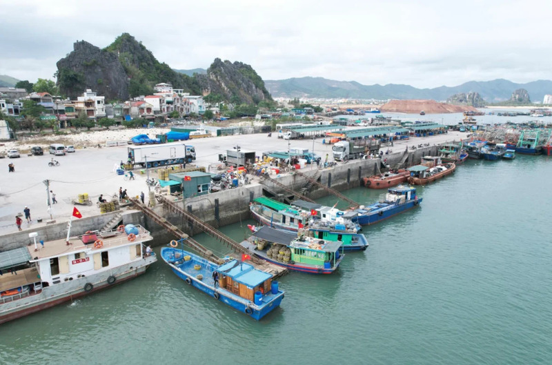 Cảng Cái Rồng, cửa ngõ đường thủy quan trọng của Vân Đồn 7