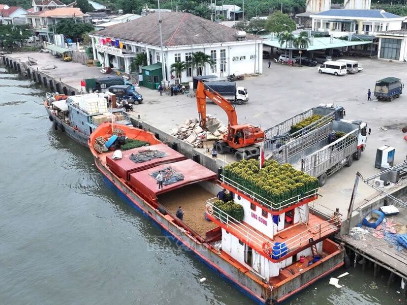 Khám phá Cảng Sa Kỳ: Điểm xuất phát lý tưởng cho hành trình đến Lý Sơn 5