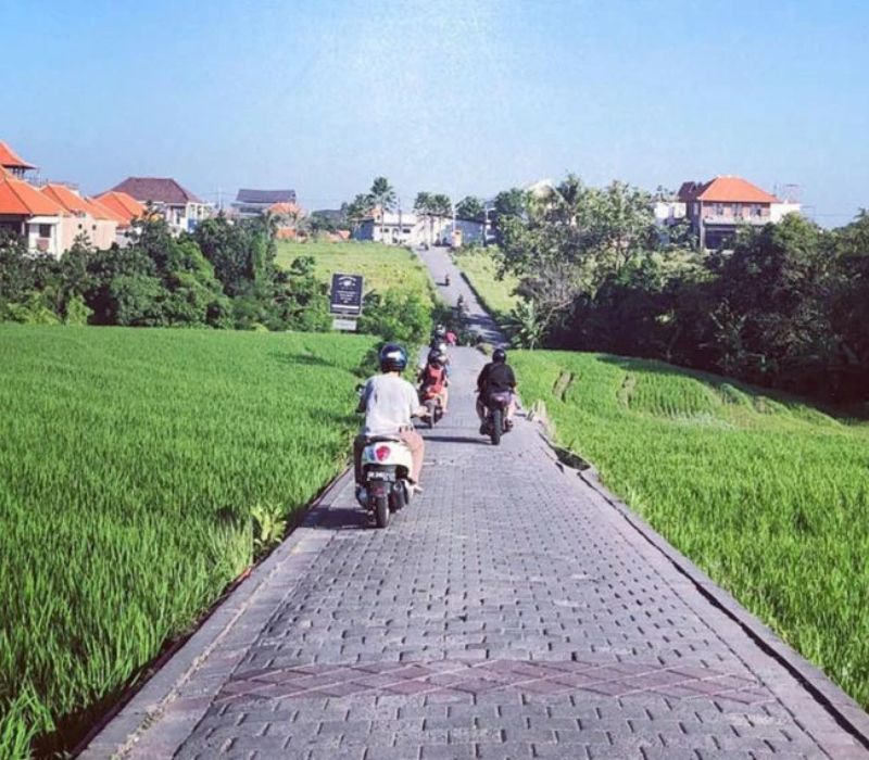 Tất tần tật về Canggu, thiên đường lướt sóng của Bali 4