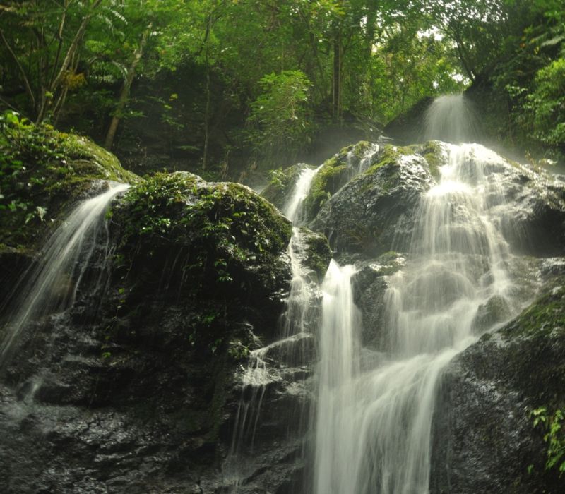 Top 10 cảnh đẹp Gia Lai vừa thơ mộng lại hùng vĩ của chốn đại ngàn 7