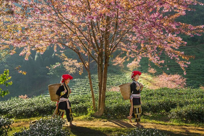 10 tuyệt tác cảnh đẹp Sapa, nơi biển mây và thiên nhiên giao hòa 11