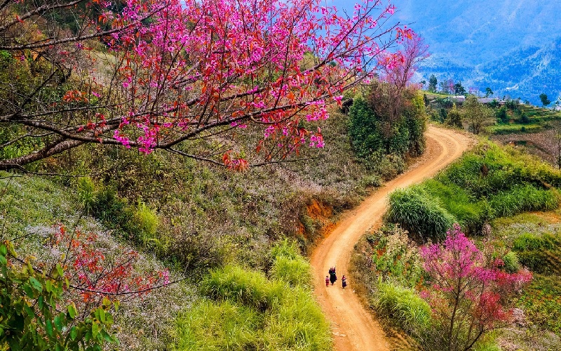 Top 10 cảnh đẹp Tây Bắc khiến ai cũng muốn xách balo lên đường 12