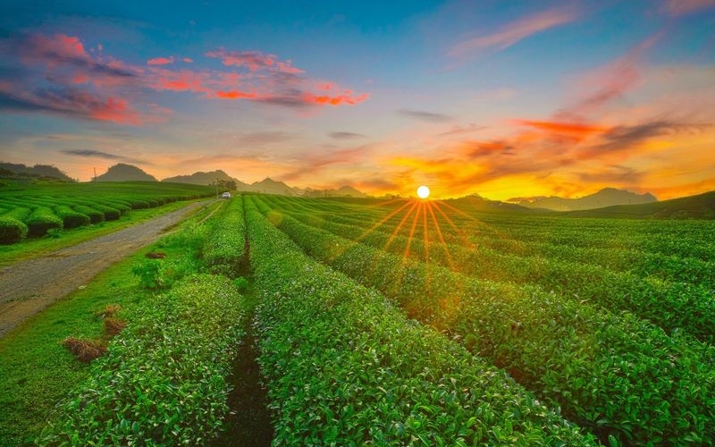 Top 10 cảnh đẹp Tây Bắc khiến ai cũng muốn xách balo lên đường 5
