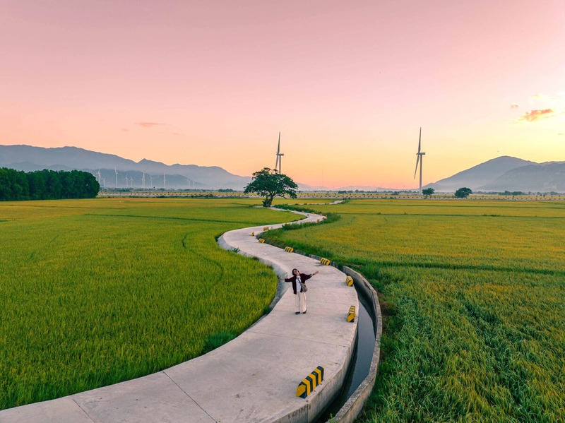 Cánh đồng điện gió Đầm Nại, bản hòa tấu của gió giữa đất trời Ninh Thuận 10