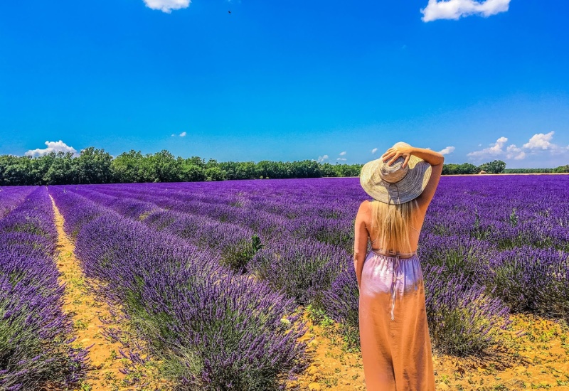 Khám phá Provence: thành phố mộng mơ, lãng mạn của Pháp 8