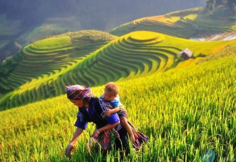 Khám phá Bắc Yên: Vùng đất hùng vĩ, thiên nhiên hoang sơ 3