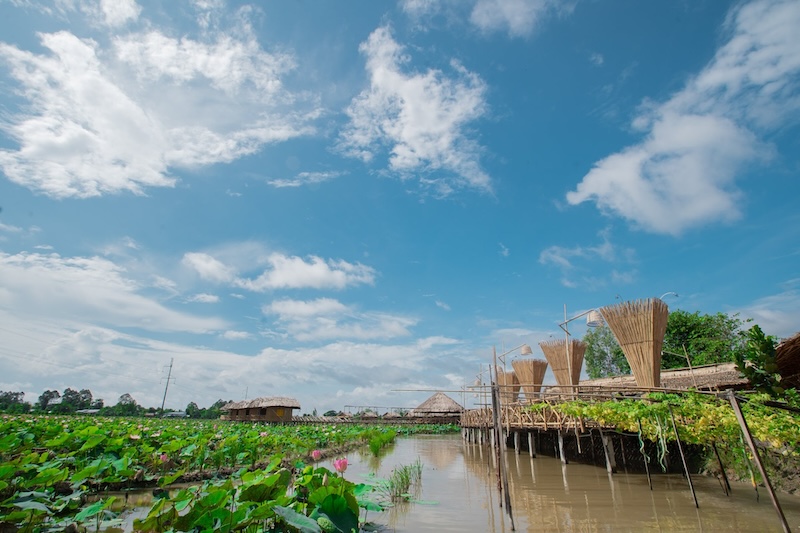 Kinh nghiệm đi Cao Lãnh Đồng Tháp cho chuyến đi đáng nhớ 2