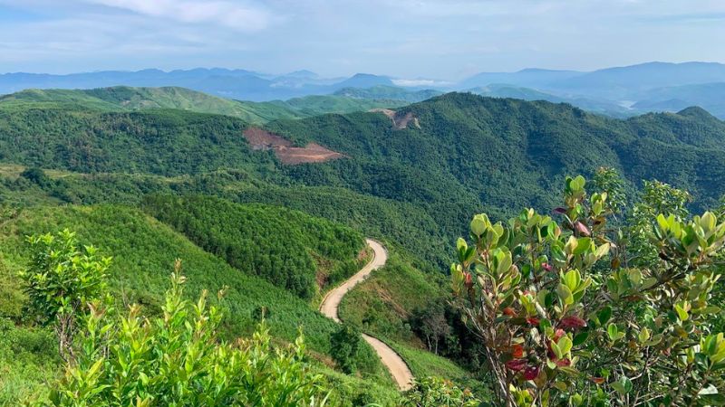 Cao nguyên Bùi Hui với rừng hoa sim tình tứ nơi xứ Quảng 11