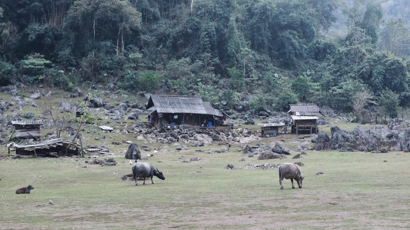 Kinh nghiệm khám phá Cao nguyên Mộc Châu với vẻ đẹp thanh bình 4