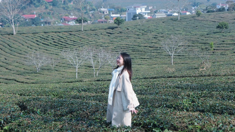 Kinh nghiệm khám phá Cao nguyên Mộc Châu với vẻ đẹp thanh bình 6