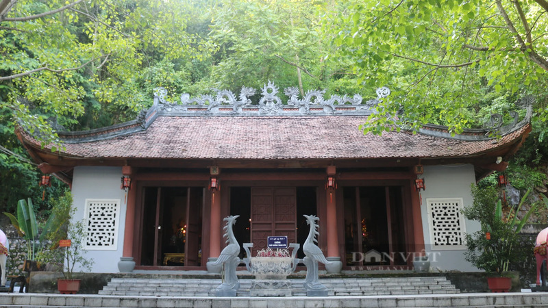 Kinh nghiệm khám phá Cao nguyên Mộc Châu với vẻ đẹp thanh bình 10