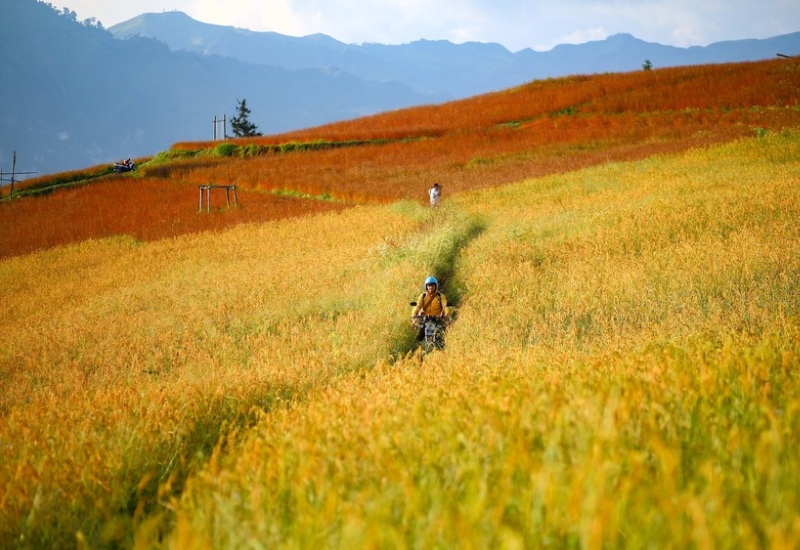 Khám phá Suôi Thầu: “Thảo nguyên châu Âu” giữa lòng Hà Giang 4